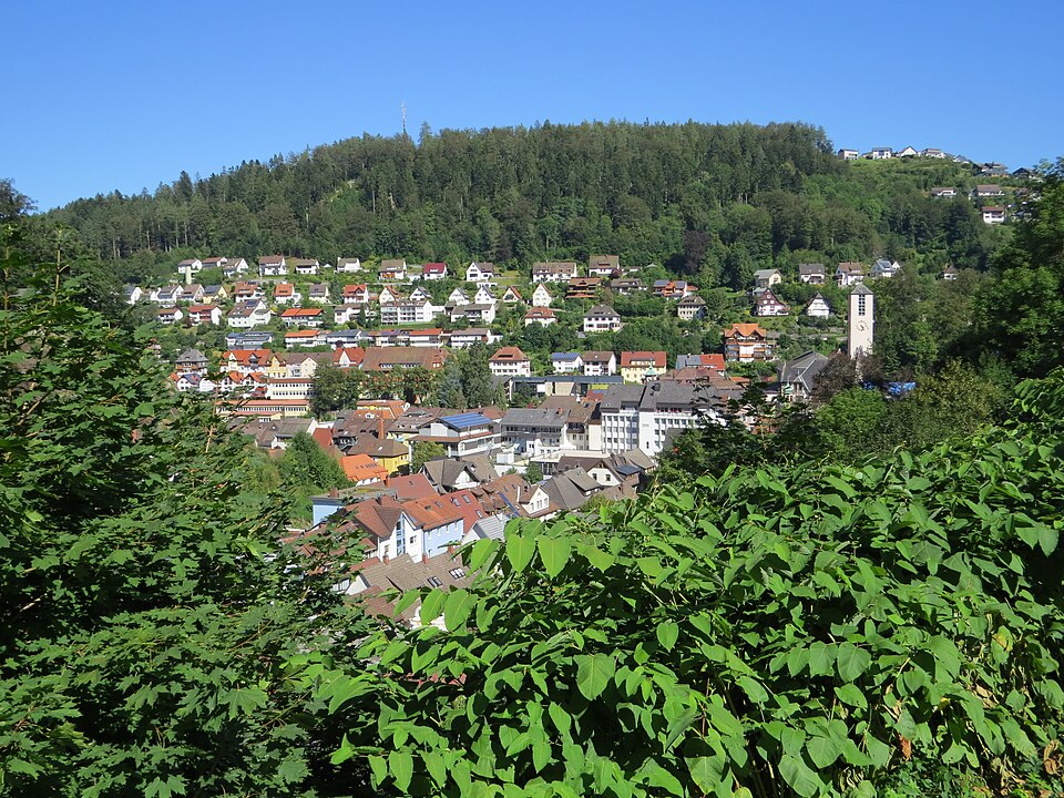 Dach-Fachbetriebe in Triberg: Stadtansicht