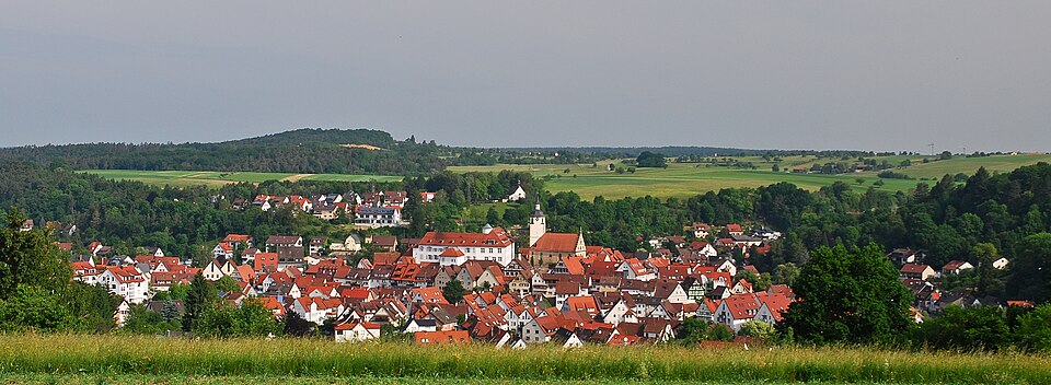 Dach-Fachbetriebe in Waldenbuch: Stadtansicht