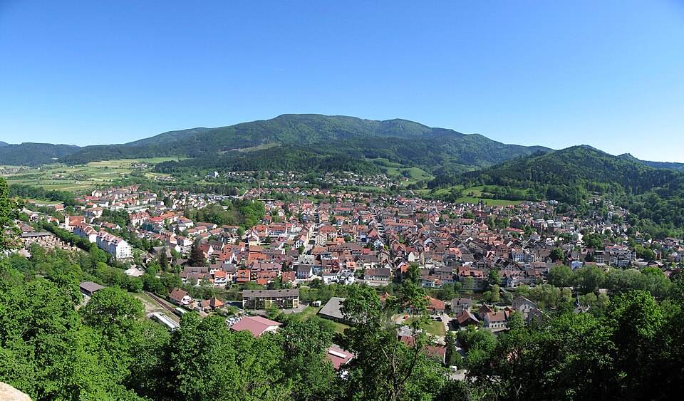 Dach-Fachbetriebe in Waldkirch: Panorama