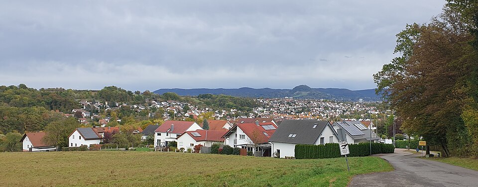Dach-Fachbetriebe in Wannweil: Stadtansicht