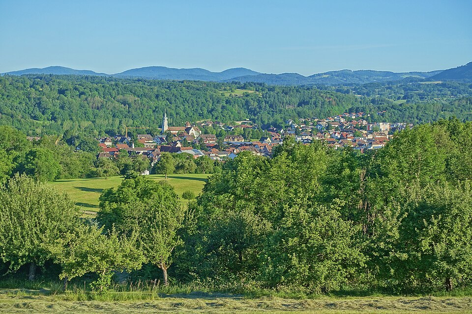 Dach-Fachbetriebe in Wehr: Stadtansicht – Foto: PantaRhei Dach-Fachbetriebe in Wehr: Stadtansicht