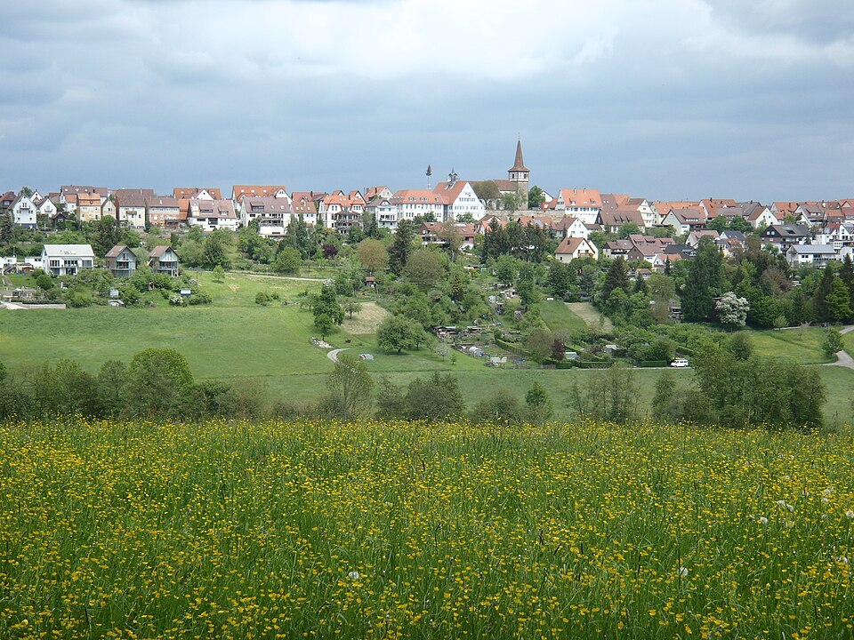 Dach-Fachbetriebe in Weil im Schönbuch: Stadtansicht – Foto: Finn Årup Nielsen Dach-Fachbetriebe in Weil im Schönbuch: Stadtansicht