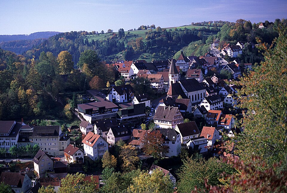 Dach-Fachbetriebe in Wildberg: Stadtansicht