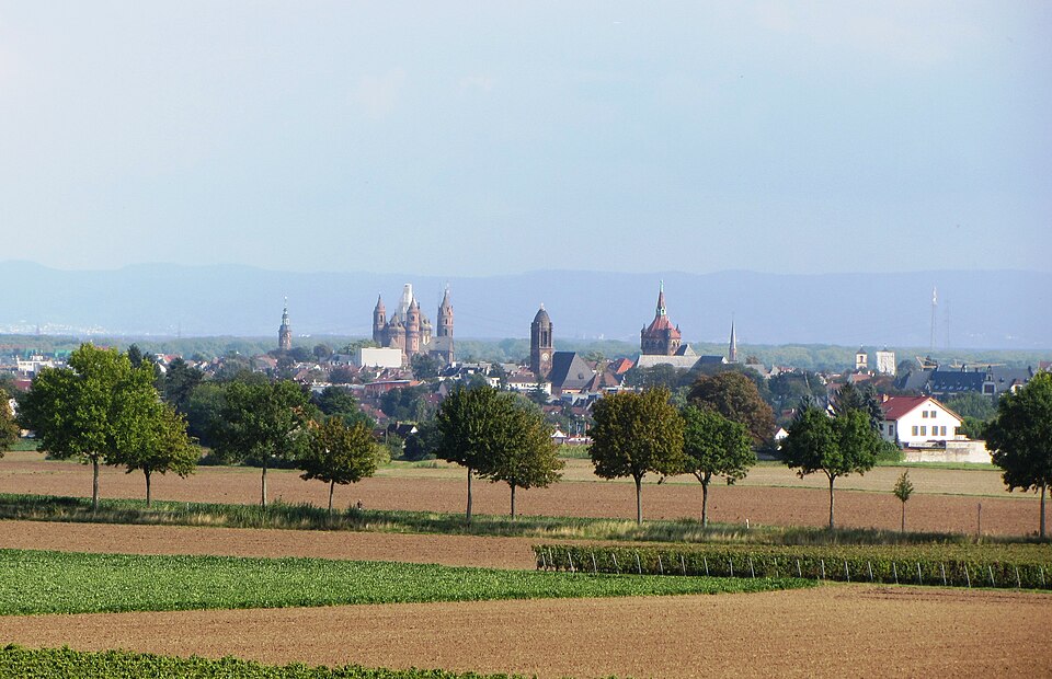 Dach-Fachbetriebe in Worms: Stadtansicht